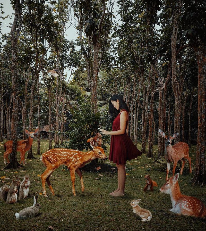 image: 610...-“For months she woke to a long lull of hibernation,When at a sudden instant, a symphony broke...From the depths of the frozen riverbed,From the tufted white blanket of snow --The burble of streams,The rustling of leaves,The light... by hellokatrinaaa
