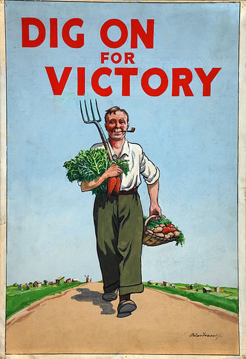 image: Victory Garden by merilin-kook