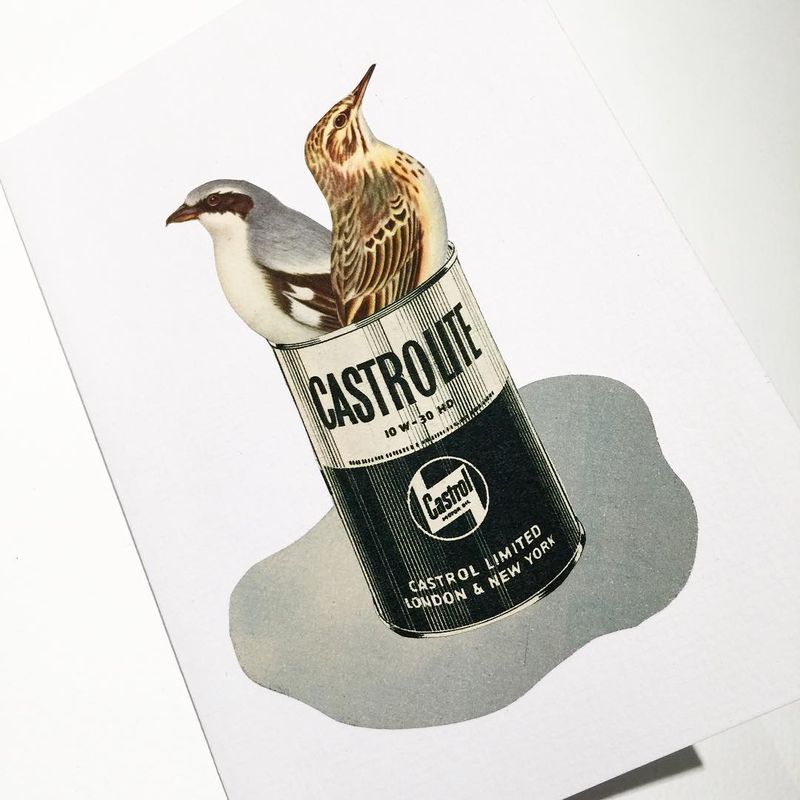 image: We are in this shit together. / Analog collage on...#collageart #collage_guild #cutandpaste #analogcollage #minimalistart #birdart #collagecollectiveco #handcutpaper #taidekollaasi #riikkafransila #analogcollagecommune #surrealart #finnishartist #c by vintageart_originals