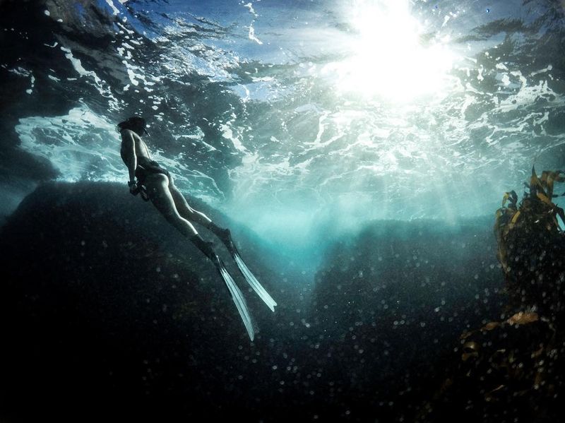 image: There is a power and mystery to ocean that keeps on drawing me back... the other day, while out diving with some friends we had the incredible privilege of hearing Southern Right Whales calling one another below the surface. As we approached an... by fainepearl