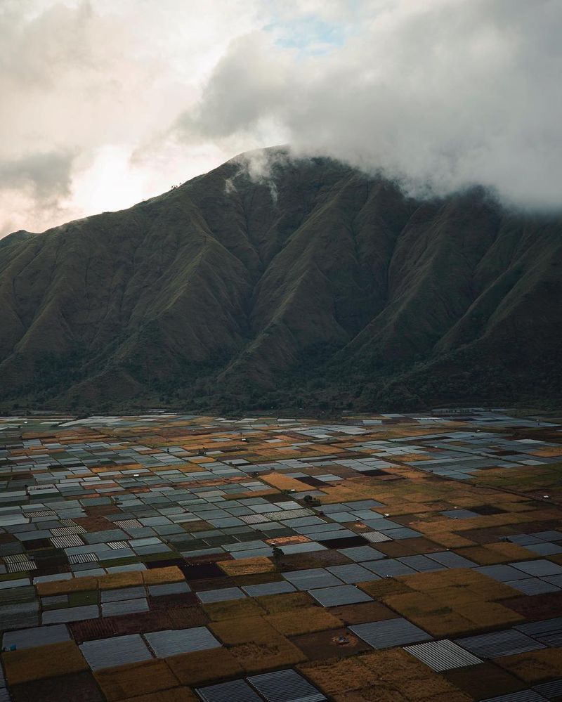 image: We came to Lombok during Ramadan, The 9th month of the Muslim year where people do not eat or drink from sunrise to sundown. The place we were staying was surrounded by mosques and each mosque had giant speakers to allow their prayers to be heard all... by josiahwg