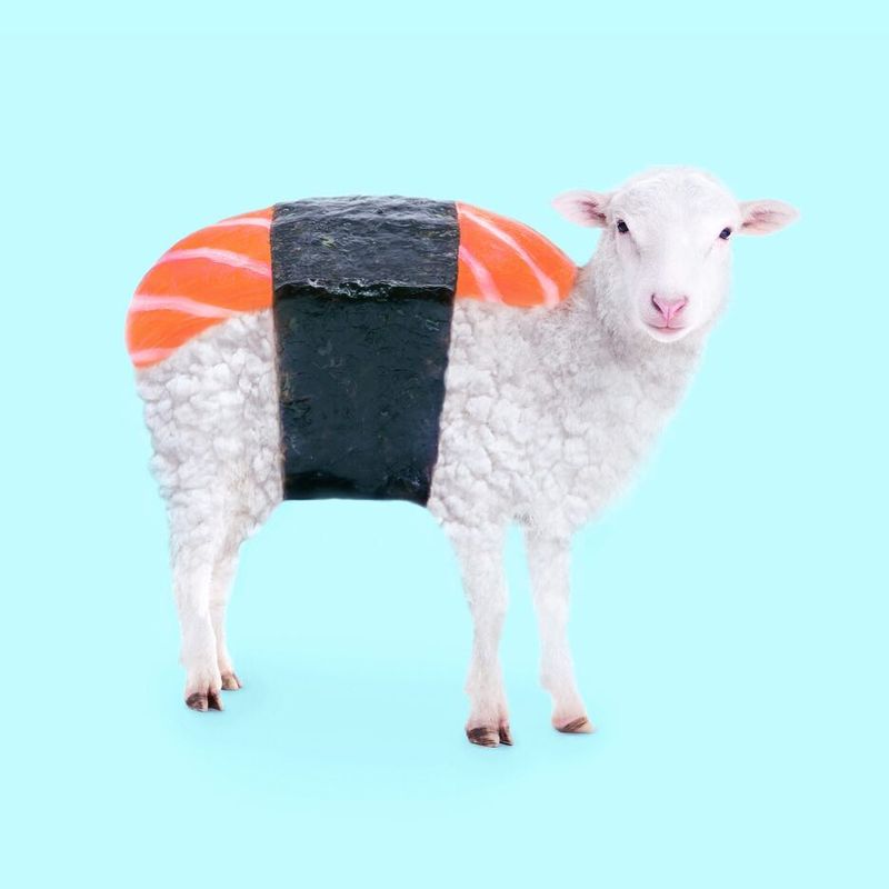 image: Susheep ?? On my way to the beach for a month! ? ••#nomad #nomadlife #sushi #sushilovers #sheep #whptwinning #instaanimal #salmon #pastellife #nikonmx #paulfuentes by paulfuentes_design