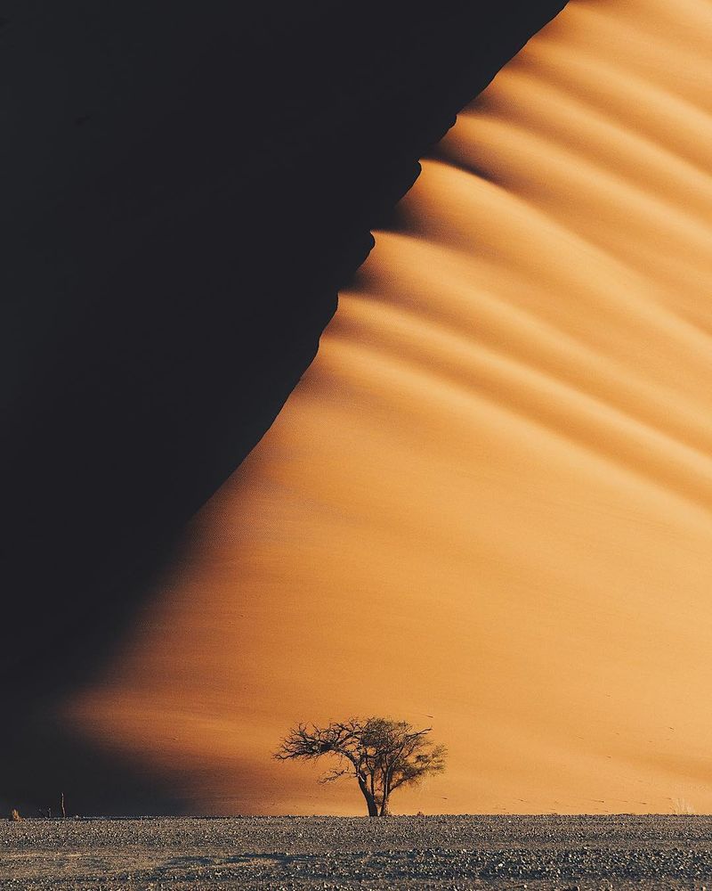 image: A loner by lebackpacker