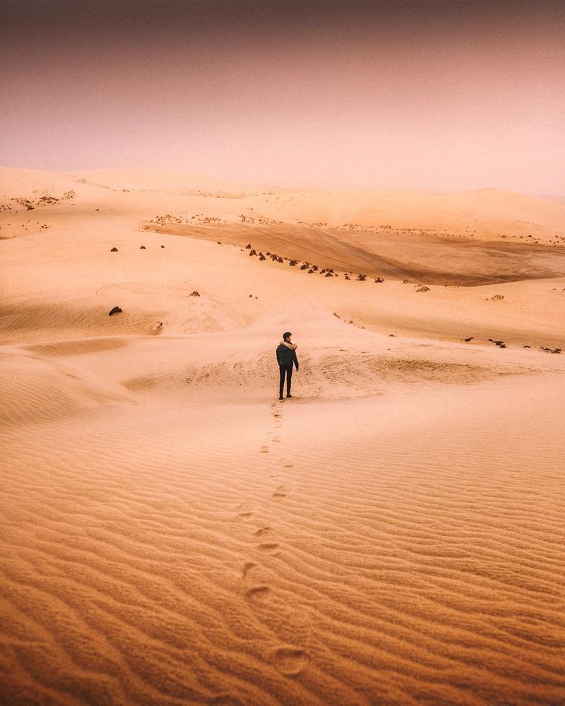 image: Hello Qatar ✨First time doing desert Safari in Qatar, this place is beyond beautiful...Unforgettable moments, driving through the desert and suddenly meeting wild camels along our journey ? #qatarairways #visitqatar #goingplacestogether by iwwm