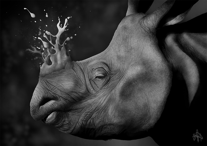 image: Rhino by jaime-sanjuan