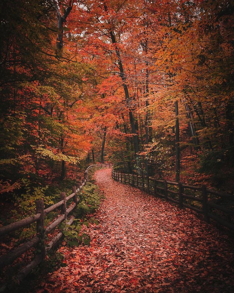 image: Niagara Region by mindzeye