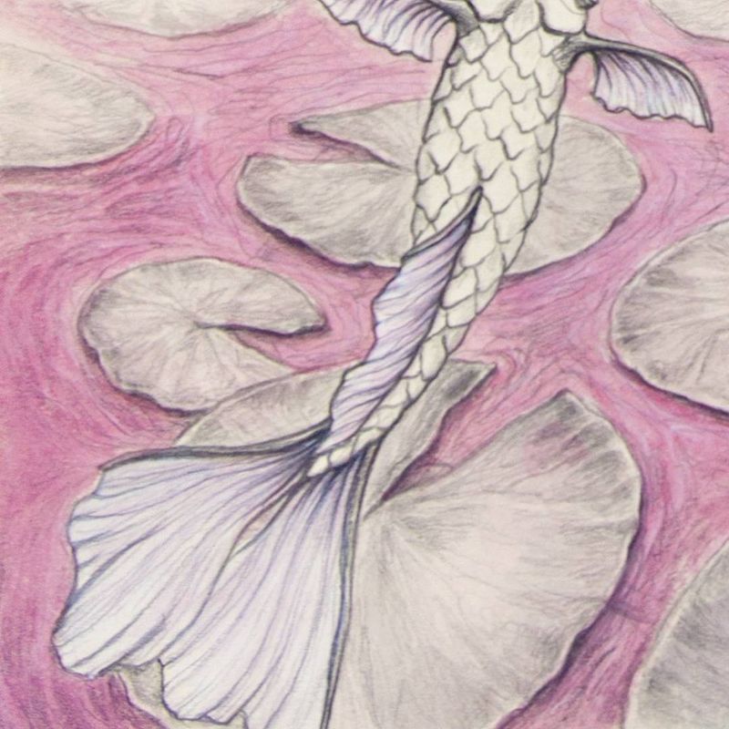 image: #exposicion #miscelaneabcn #whoismisscatbantry #mañana #barcelona #arte #ilustracion #expsicioncolectiva #dibujo #acuarela #drawing #color #art #pencil #fish #metamorfish #lauraagusti by elisaancori