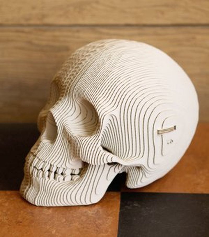 image: DISEÑO | CARDBOARD SAFARI by coolneeded