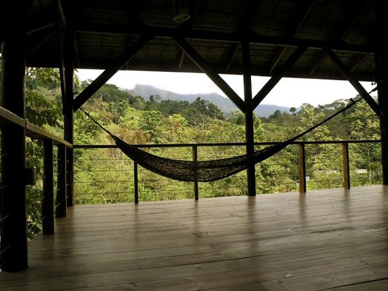 image: The Jungles of Costa Rica by larsson