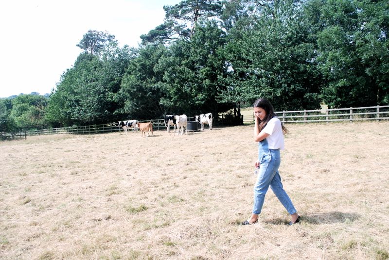image: REPTILIA: LONDON COUNTRYSIDE by reptilia