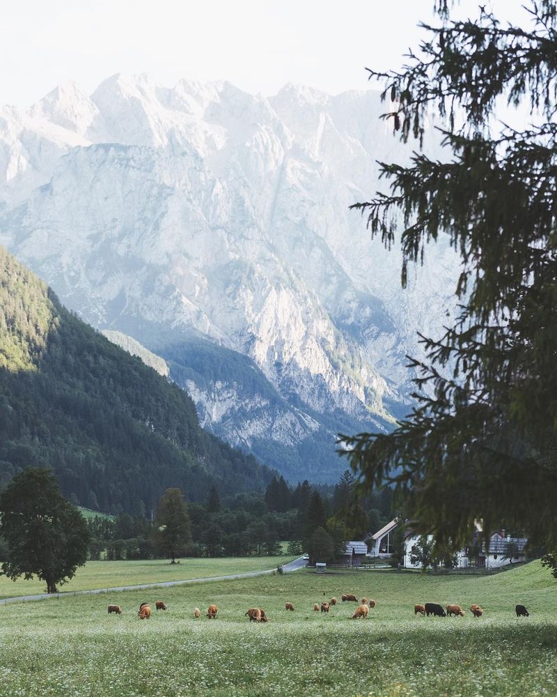 image: After 6 weeks spent in the Balkans chasing beaches and mountains under the warm Mediterranean sun, I've finally made it to the Alps for the third and last leg of my 5-month road trip #PeaksOfEurope. I recently spent an amazing week in Slovenia's Julian... by lebackpacker
