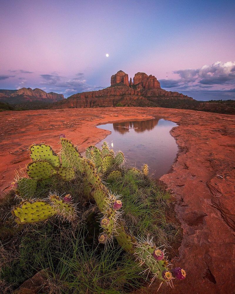 image: I'm excited to be exploring Sedona for a few days in collaboration w/ @laubergesedona! It's been a long time since I've been up here and I look forward to hitting the trails. There's just so much to see here and words can't even describe the peaceful... by seanparkerphotography