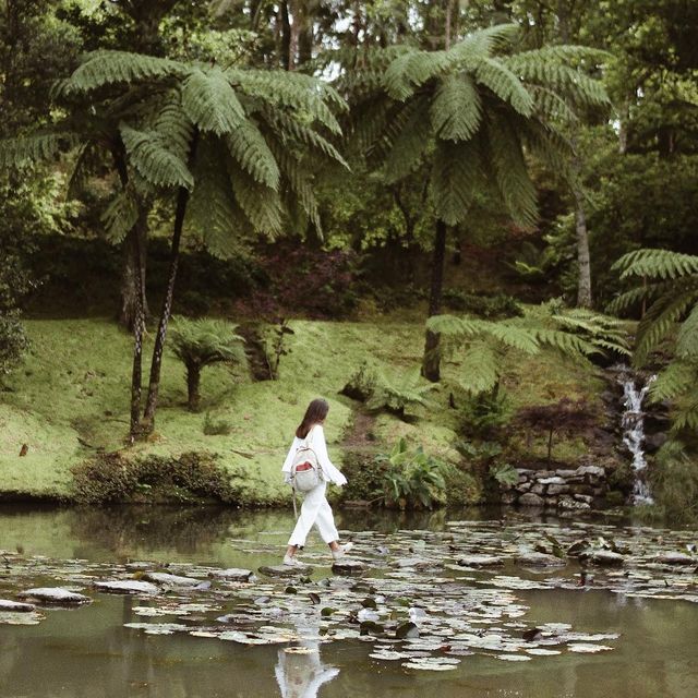 image: Where everything is green.-Morning working on the web page post 🌱 by mirenalos