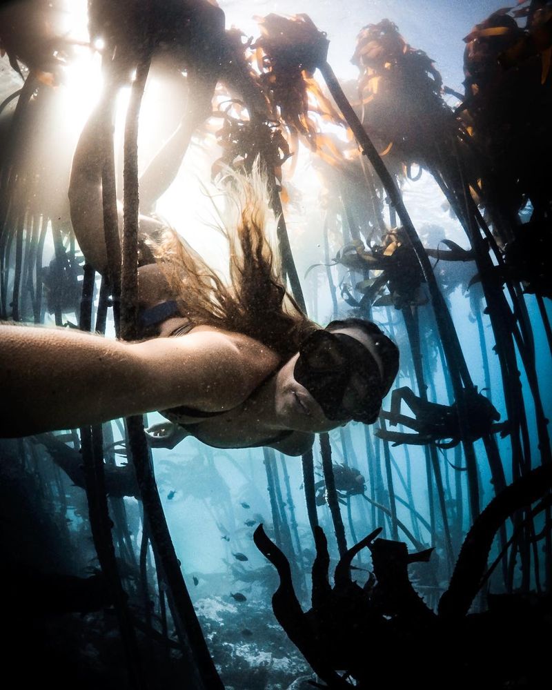 image: I'm always left with a sense of awe after exploring the kelp forests. The teeming life, the silence and the dancing light create the most incredible atmosphere. ...#gopro #wohza #capturedifferent by fainepearl