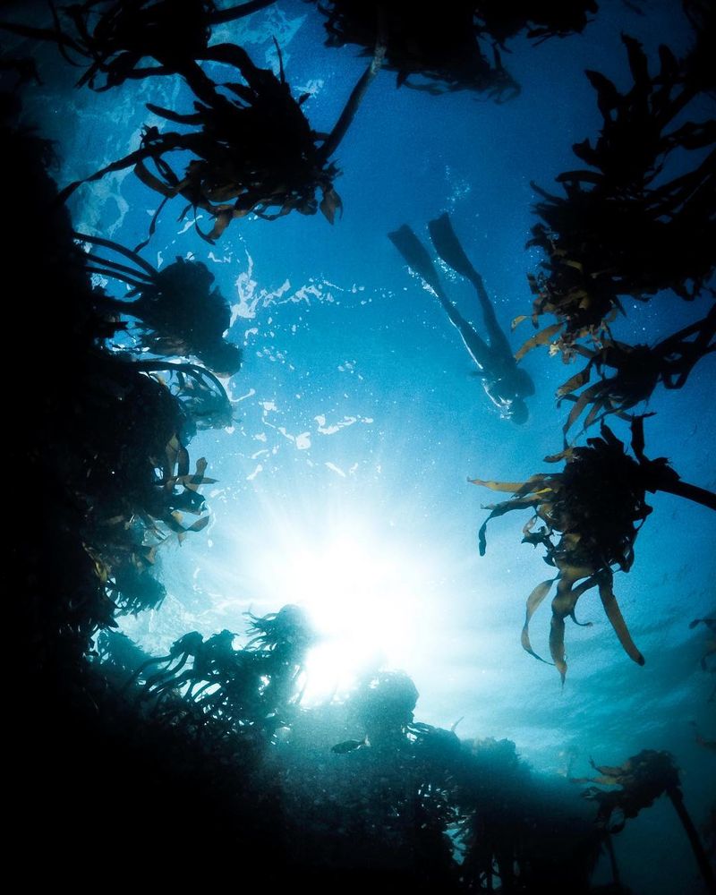 image: "In a world of seven billion people, where every inch of land has been mapped, much of it developed, and too much of it destroyed, the sea remains the final unseen, untouched, and undiscovered wilderness, the planet’s last great frontier. There are no... by fainepearl