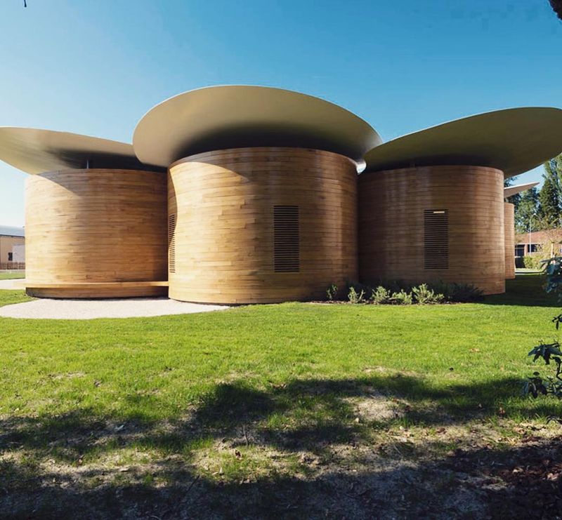 image: Mario Cucinella Architects' Casa della Musica is both a concert venue and music school in the municipality of Bologna in Italy/ The architectural language is inspired by musical instruments and achieved through the choice of oak wood paneling and... by architizer