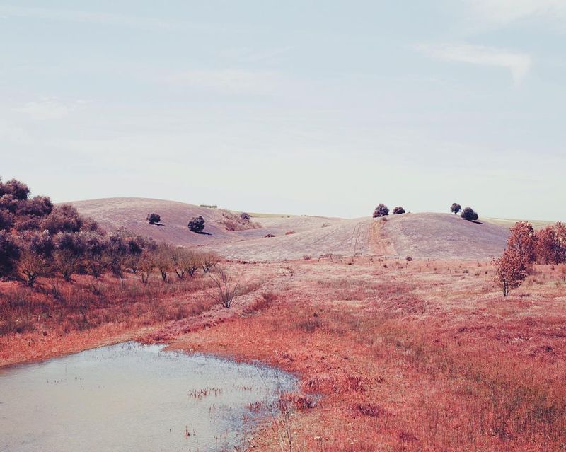 image: I miss planning and shooting some creative shots just for fun... definitely need to get back to them soon. In the meanwhile, here’s another dreamscape ? by teresacfreitas