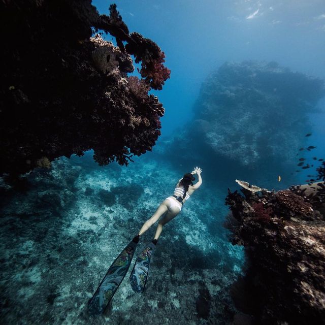 image: A friend asked me last night if I had ever experienced an altered state of consciousness. Since I've never drank or done any drugs, I said the only comparison I have is my mind when I'm in a flow freediving. When I'm underwater the way I perceive the... by chelseakauai