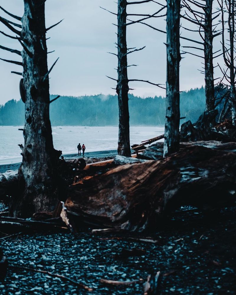 image: Into the soaking haze together. by monascherie