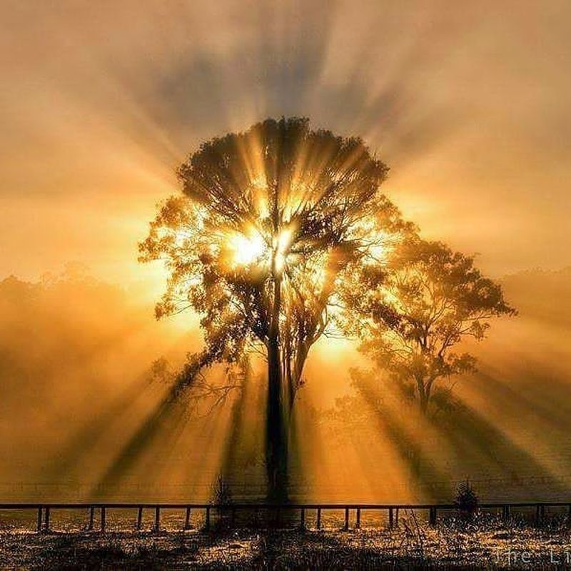 image: Mindfullness by sunsetstamps