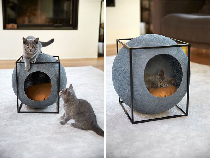 image: Cat Cocoons by wastedyouth