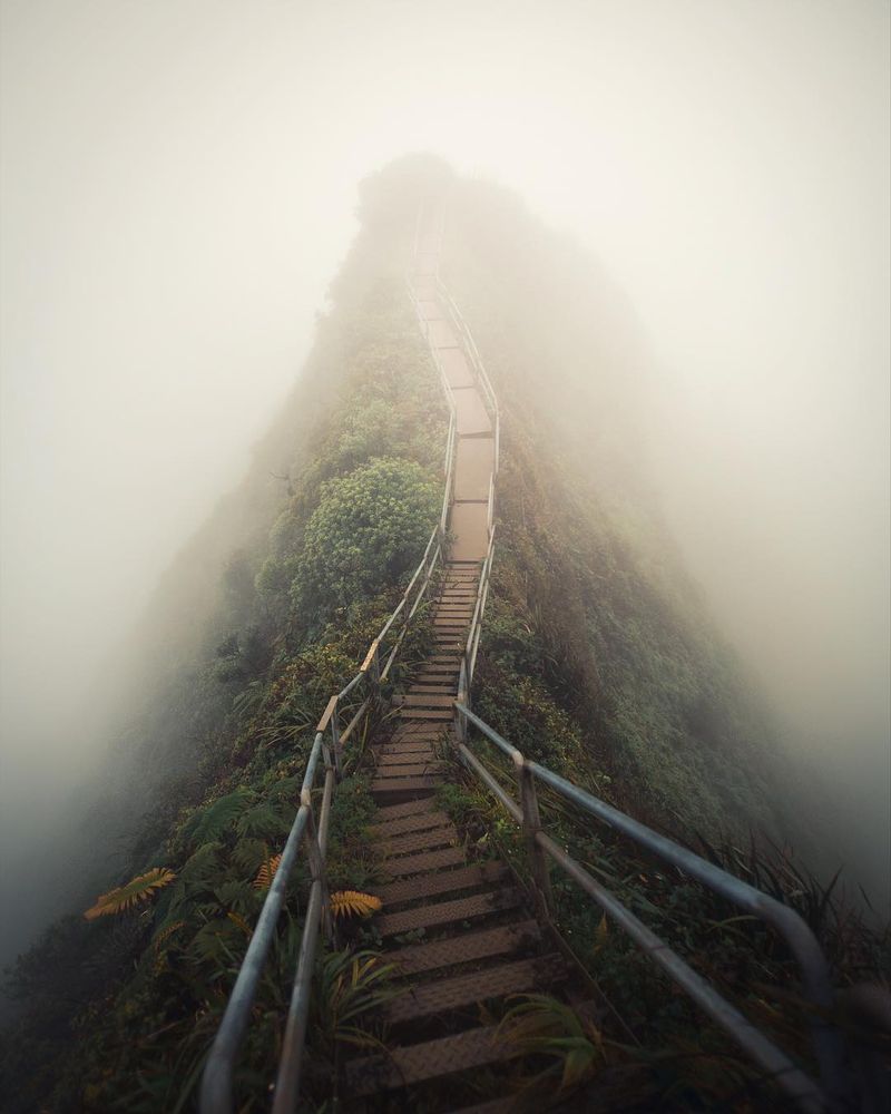 image: We slept in hammocks that night ontop of the mountain. You forget how cold the Hawaiian winds actually get when you're that high up. We woke up for sunrise only to see white. We were completely surrounded by clouds. It's strange knowing you're ontop of... by josiahwg