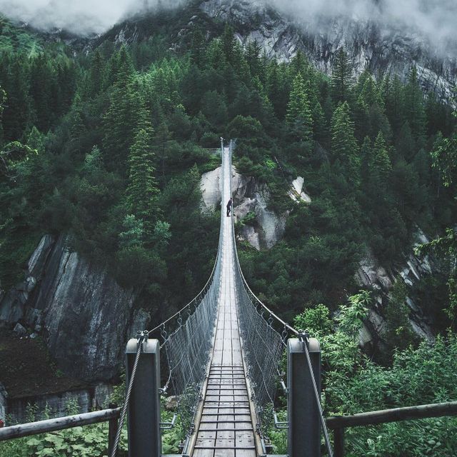 image: Crossing bridges in Switzerland with @gullerpat 🌲 by daniel_ernst