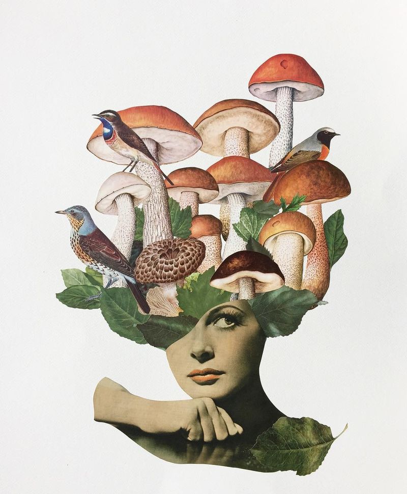 image: Time to go hunting some mushrooms. / Analog collage on...#collageart #collage_guild #cutandpaste #analogcollage #minimalistart #mushrooms #mushroomsociety #mushroomhead #collagecollectiveco #handcutpaper #taidekollaasi #riikkafransila #analogcollage by vintageart_originals