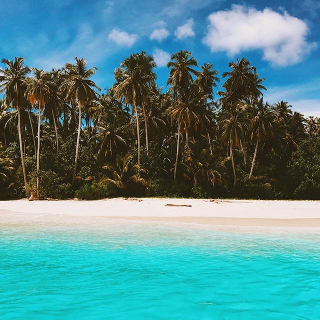 image: Soaking in everything Mentawai while I still can! 🤞🏽🙈💔 stuff you only find in postcards ... @alaiamentawai x @reef_girls by brooklynhawaii