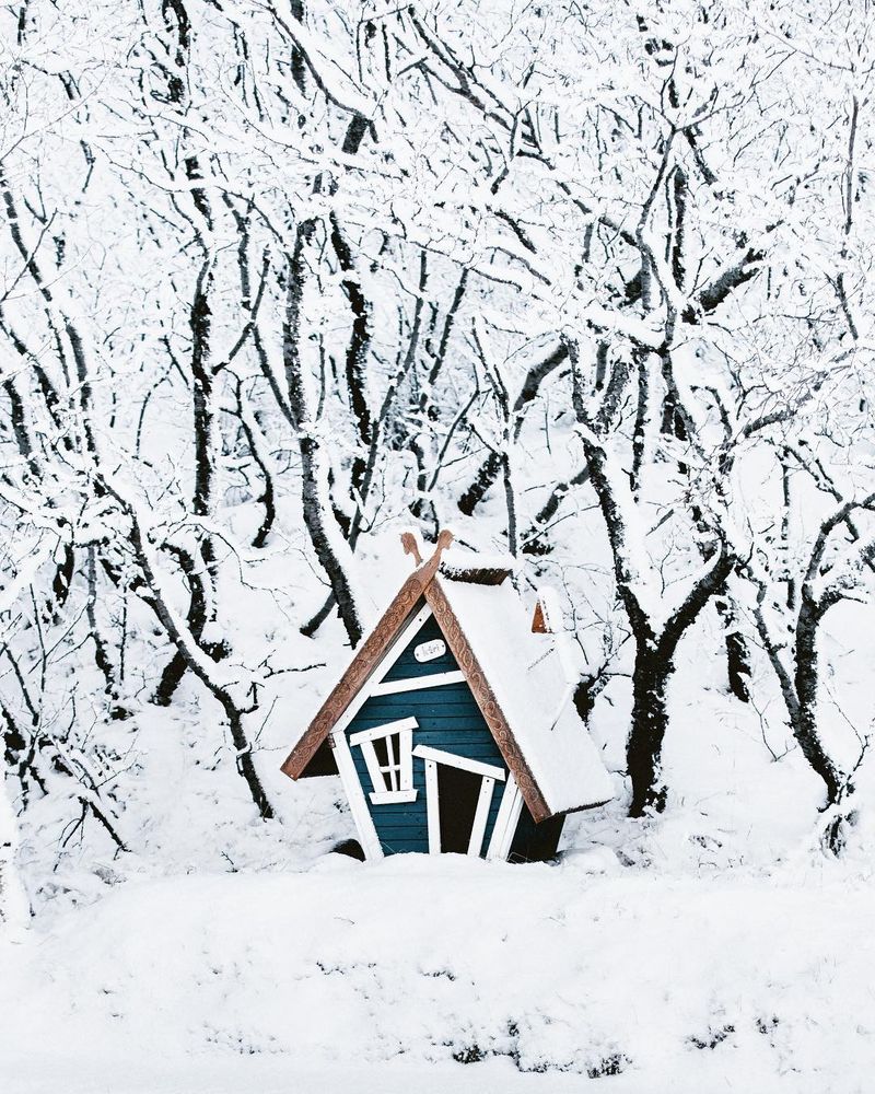 image: Winters Night by donalboyd