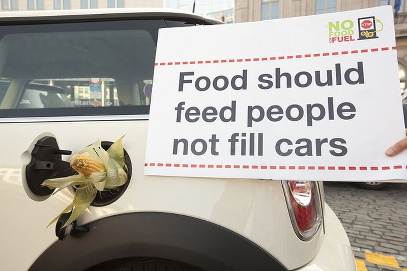 image: Food should feed people not fill cars by ayudaenaccion