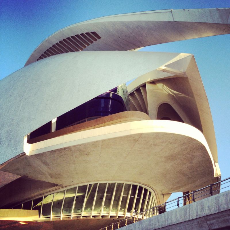 image: Sorprendente escapada sorpresa by nachobirdwatcher
