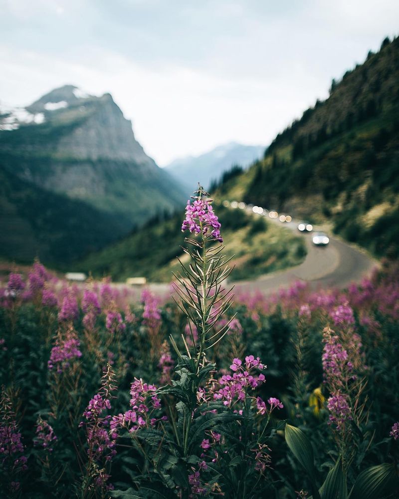 image: Just me and the mountains. Looking back, this may have been one of the simpler moments of my...-I’ve uploaded a new blog post on my website, link in my bio, with a lot of unshared memories that I’ve held onto as the seasons change. Missing the... by lostintheforrest